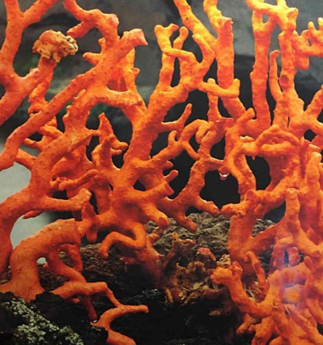La Corte Di Angelica Sciacca Exteriér fotografie